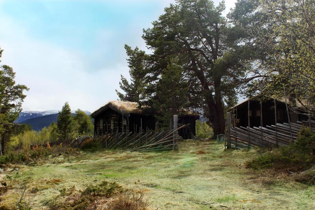 Lusæter Timber Cabins room 1